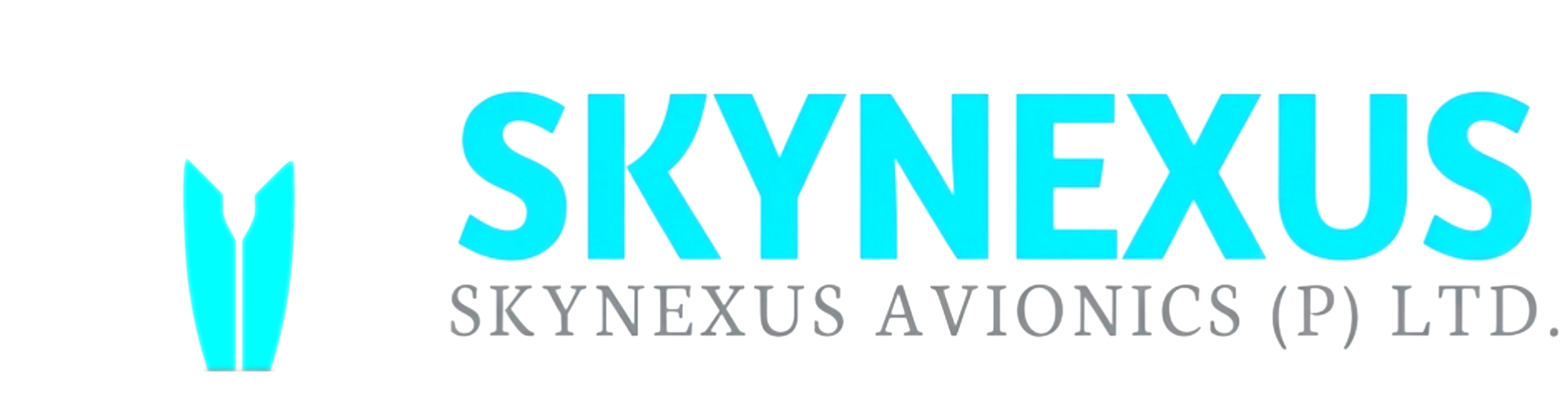 SKYNEXUS AVIONICS